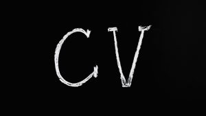 Read more about the article How To Write An Academic CV For A Masters Application